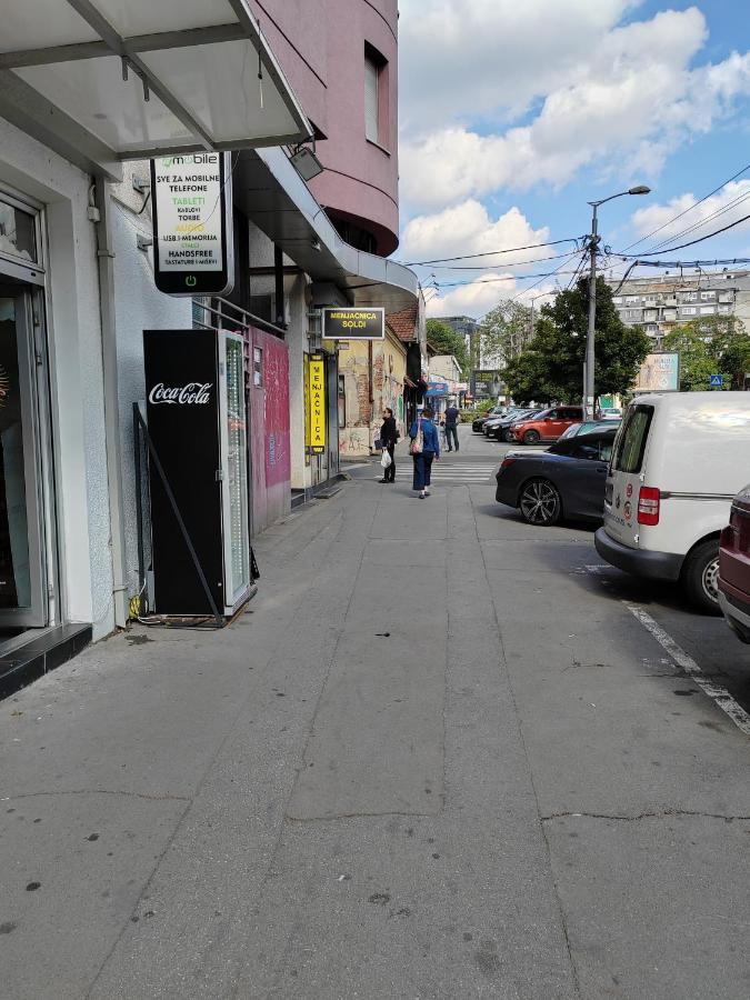 Magenta Vracar Lejlighed Beograd Eksteriør billede